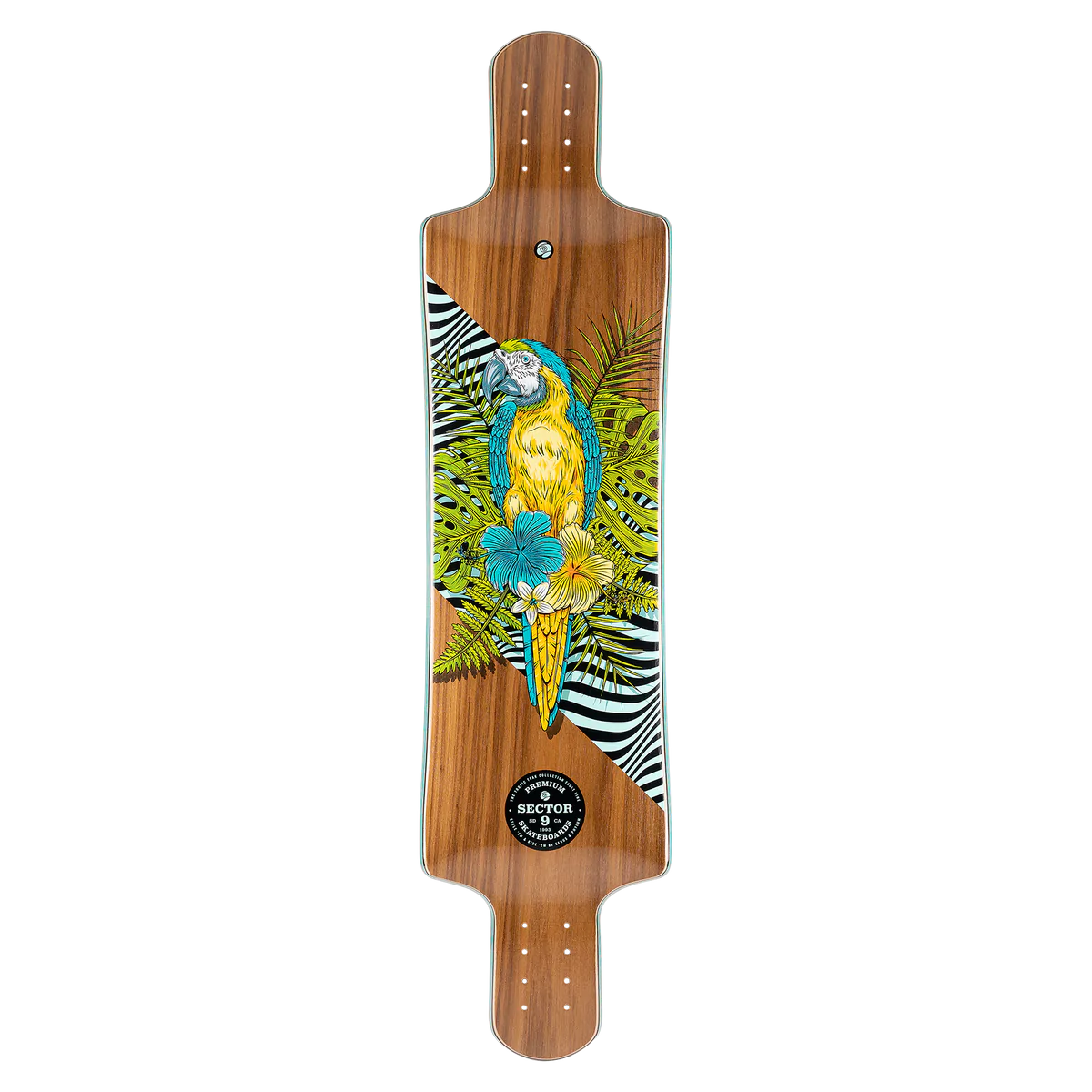 Sector 9 Fault Line Perch Longboard Deck – Coast Board Shop